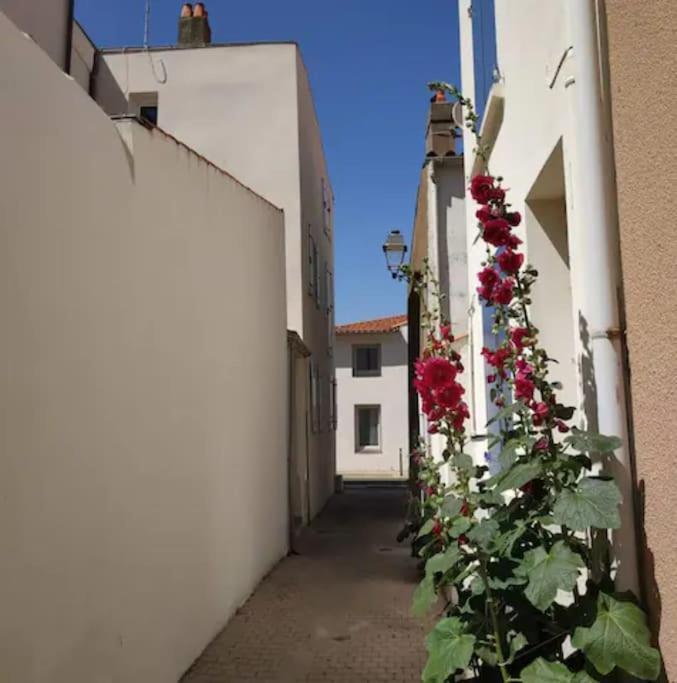 Tiny Studio Terrasse, Hypercentre La Plage A 2 Pas ! Les Sables-dʼOlonne Dış mekan fotoğraf